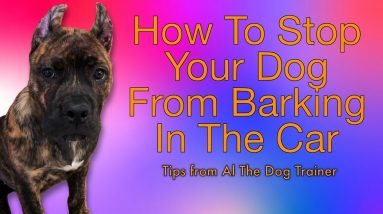 How Do I Stop My Dog From Barking In The Car? - Tips From Al The Dog Trainer