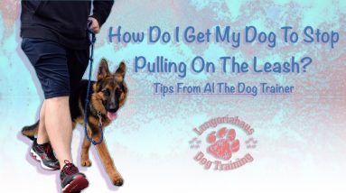 How Do I Get My Dog to Stop Pulling On The Leash? - Loose Leash Walking Tips From Al the Dog Trainer