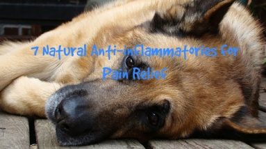 7 Natural Anti-inflammatories For Pain Relief