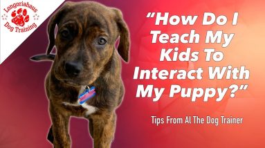 How To Teach Your Kids To Interact With Your Puppy - Tips From Al The Dog Trainer
