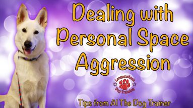 Dealing with Personal Space Aggression - Tips From Al The Dog Trainer