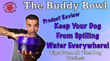 Stop Your Dog From Spilling Water | Buddy Bowl Review- Tips From Al The Dog Trainer