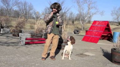 Dog Training Goals for the New Year Part Two