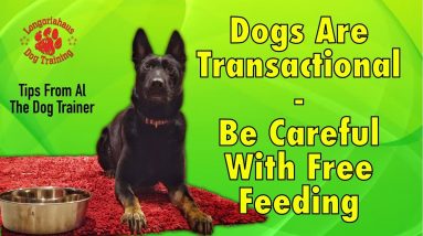 Be Careful With Free Feeding Your Dog; Dogs Are Transactional - Tips From Al The Dog Trainer
