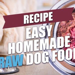 Easy Homemade Raw Dog Food Recipe (Fast and Healthy)