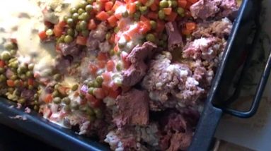 Gone to the Dogs Again!  Beef and Liver Dog Food:  Noreen's Kitchen