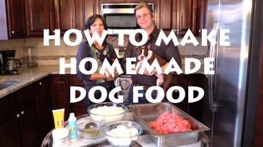Homemade Dog Food