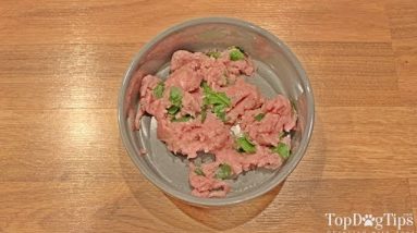 Homemade Raw Dog Food Recipe (Easiest One to Make, No Cooking)