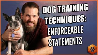 Why You Should Use Enforceable Statements with Your Dog - Dog Training Techniques