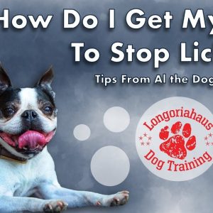 How Do I Get My Dog To Stop Licking?- Tips From Al the Dog Trainer