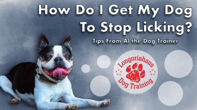 How Do I Get My Dog To Stop Licking?- Tips From Al the Dog Trainer