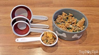 How Much Homemade Dog Food To Feed My Dog?