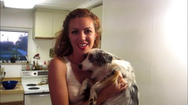 MAKE YOUR OWN EASY DOG FOOD!