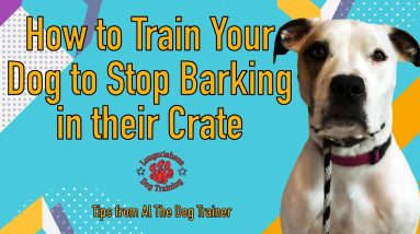 How to Train Your Dog to Stop Barking in their Crate - Tips From Al The Dog Trainer