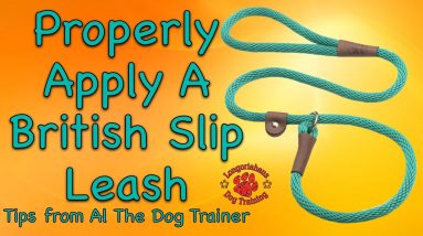 How To Properly Apply A British Slip Leash - Tips From Al The Dog Trainer