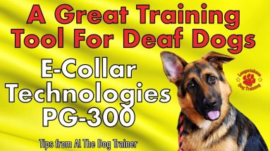 E-Collar Technologies PG-300, Great Tool For Training A Deaf Dog - Tips From Al The Dog Trainer