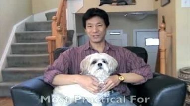 Puppy Potty Training Dogs Indoors With Dog Litter Box