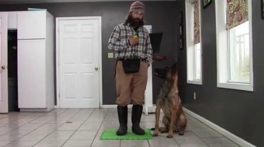 Teaching proper heel position!