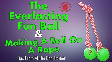 The Everlasting Fun Ball And Making A Ball On A Rope - Tips From Al The Dog Trainer