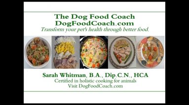 Vet Recommended Homemade Dog Food