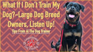 What Happens If You Don't Train Your Dog | Tips From Al The Dog Trainer