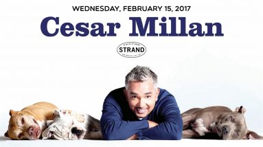 Cesar Millan | Lessons from the Pack