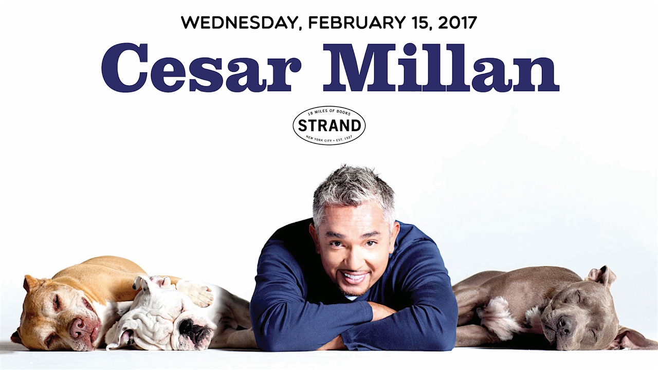 Cesar Millan | Lessons from the Pack - Best Dog Training Methods