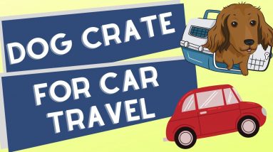 Dog Crate For Car Travel