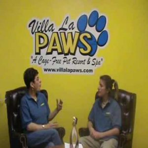 Dog Obedience: Dog Training Tips from Villa La PAWS