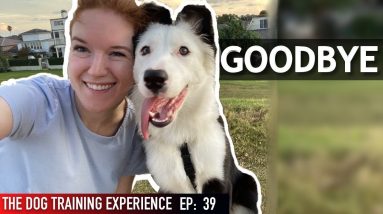 I’m Leaving My Wife And Dog Behind.