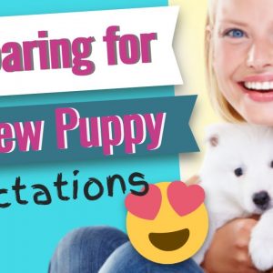 Preparing for a New Puppy - Expectations