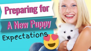 Preparing for a New Puppy - Expectations