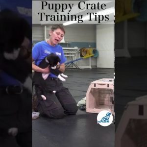 Puppy Crate Training #Shorts