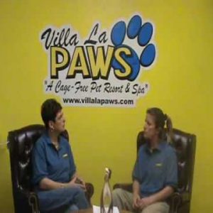 Selecting a Dog Trainer: Dog Training Tips from Villa La PAWS