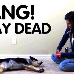 Teach dog to Play Dead!