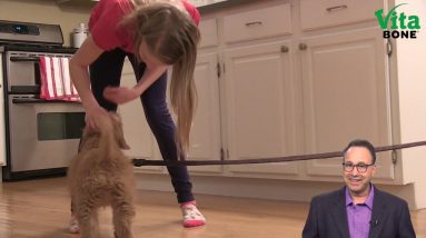 Teaching Your Puppy the Come Command