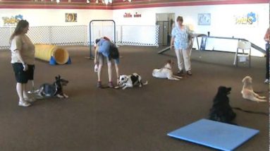 Villa La PAWS Advanced Obedience Graduation 10/1/11