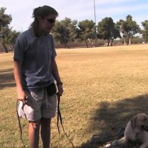 Villa La PAWS - Dog Training -  Heeling Part 2 11-10-09