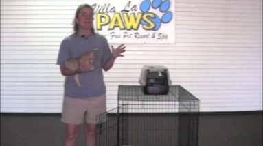 Villa La PAWs - How to Introduce Your New Cat to Your Dogs