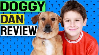 Doggy Dan Online Dog Trainer Review - Does It Really Work?