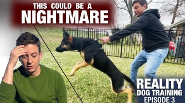 We need to talk... This will NOT be easy. Reality Dog Training Episode 3