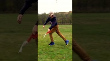 We Set Up A Dog Race Competition! #Shorts