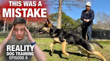 [Controversial] Watch ‘til the end to see my BIGGEST MISTAKE so far... Reality Dog Training