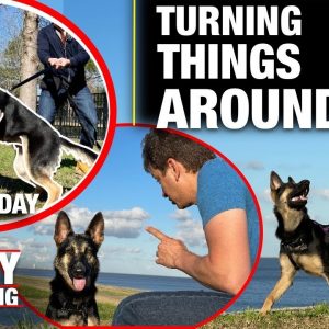 She LOST HER MIND Last Time. Here’s What I’m Doing About It. REALITY DOG TRAINING EP 9