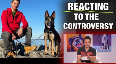 Reacting to the Biggest Controversies of my Last Series
