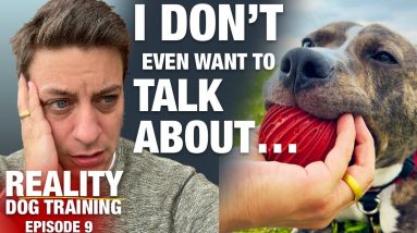 Do you know how many people are going to troll me over this? [Reality Dog Training EP 9]