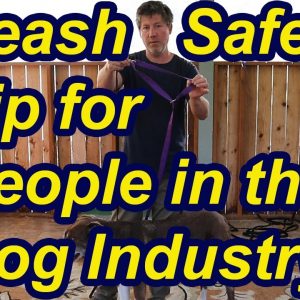 Leash safety tip for people in the dog industry