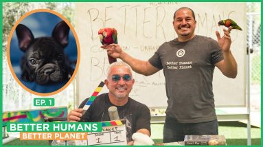 The Best Puppy Tips, My New Mission, Jaime’s Story.. | Better Humans, Better Planet EP. 1