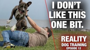 My Most Epic Battle. [Reality Dog Training Ep. 12]