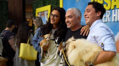 THE PREMIERE OF MY NEW SHOW, BETTER HUMAN BETTER DOG!